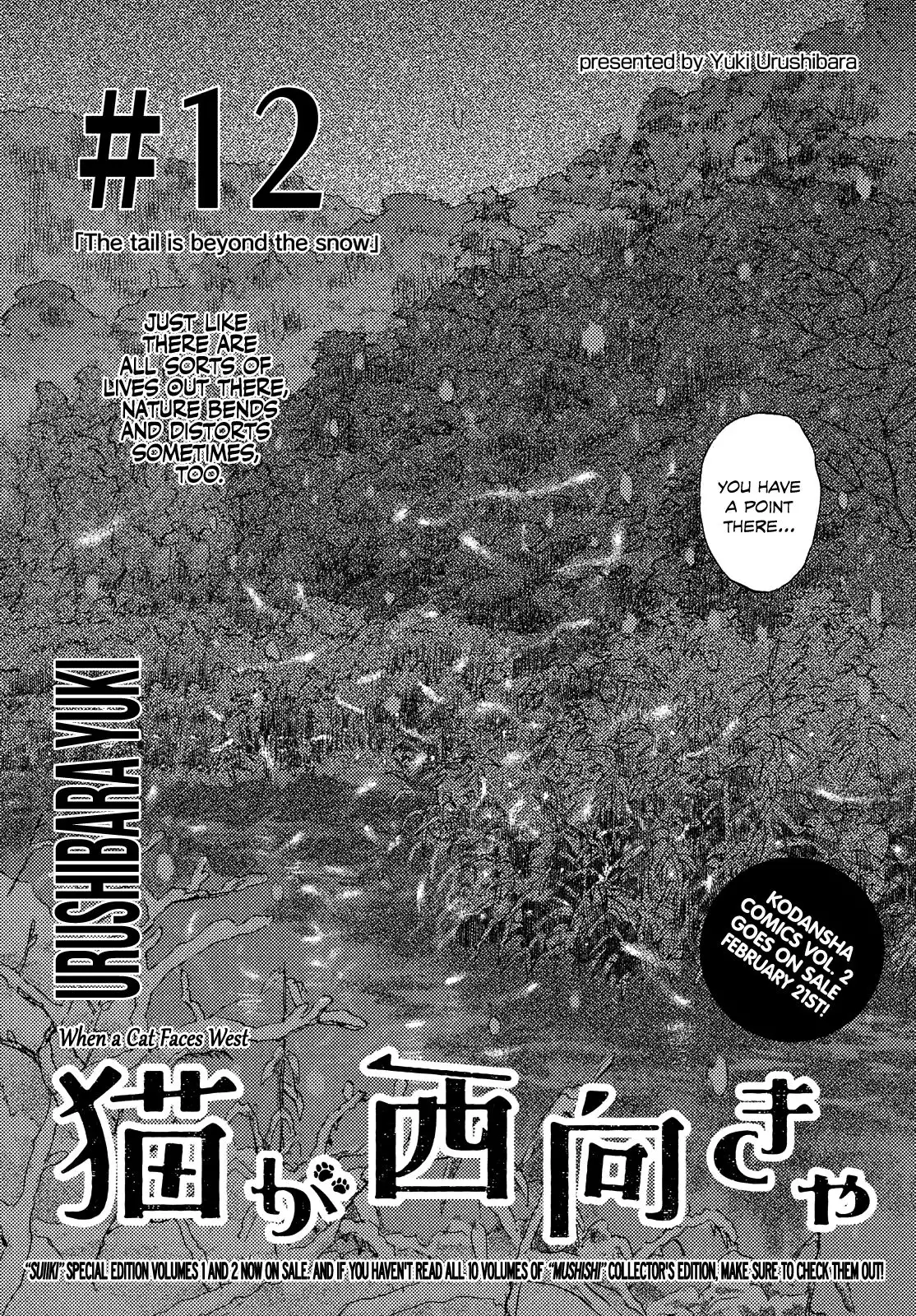 Neko ga Nishi Mukya Chapter 12 2